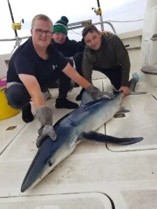 Blue shark being held on Silver Dawn's deck during a shark fishing charter