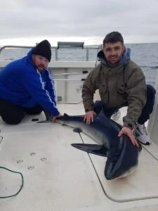 Blue shark being held on Silver Dawn during a shark fishing charter