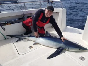 Blue shark on Silver Dawn's deck