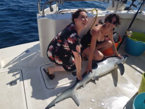 Blue shark caught during a hen shark fishing charter!