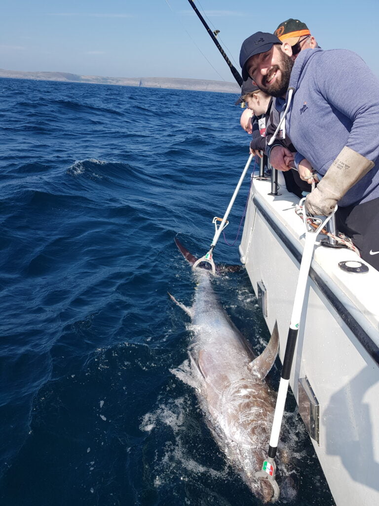 Bluefin tuna tagged by side of Silver Dawn on a fishing charter