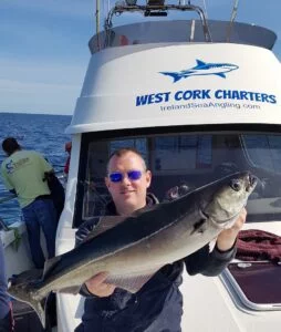 Coalfish caught on Silver Dawn