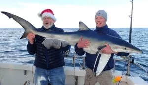 December 2020 blue shark on Silver Dawn