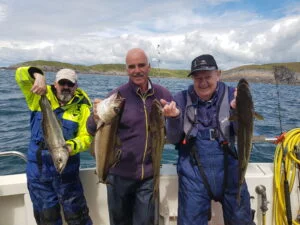 Four pollack being held by 3 anglers on Silver Dawn