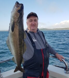 Pollack caught on Silver Dawn during general fishing charter