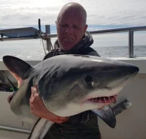 Porbeagle being held on Silver Dawn during a shark fishing charter