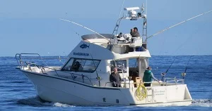 Silver Dawn on a bluefin fishing charter
