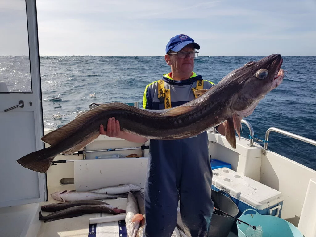 One ling caught on Silver Dawn