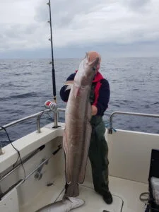 One ling caught wreck fishing on Silver Dawn